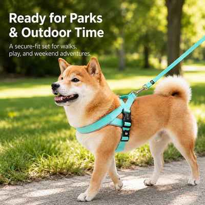 Paws in Awe Quick-Fit Lightweight Dog Harness & Leash Set for Daily Walks - No-Choke Step-In Comfort with Secure Buckle & Back Control Handle