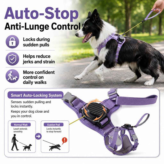 Paws in Awe 2-in-1 Retractable Dog Harness for Daily Walks - Built-In Leash Vest with Auto-Stop Control for Small & Medium Dogs