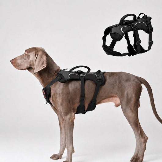 Komavic Escape-Resistant Dog Harness AirTag Holder