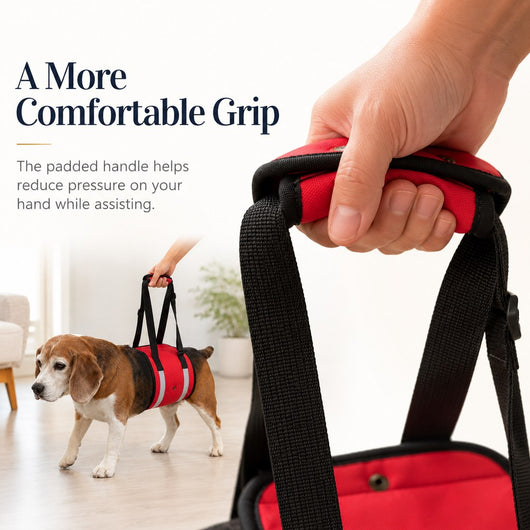 Dog Lift Support Sling