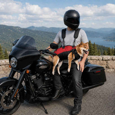 Paws in Awe Hands-Free Dog Carrier Harness Backpack for Walks, Hiking & Travel — Carry Tired Small & Medium Dogs Comfortably