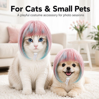 Pet Cosplay Wig for Cats & Small Pets