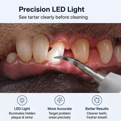 Paws in Awe Ultrasonic Pet Dental Cleaner for Dogs & Cats – At-Home Tartar Care for Fresher Breath Between Vet Visits
