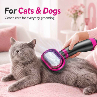 Paws in Awe 4-in-1 Pet Dryer Brush for After-Bath Grooming, Low-Noise Dog & Cat Hair Dryer Comb for Easier Drying, Brushing & Detangling