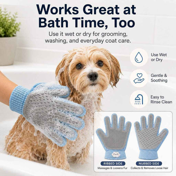 Paws in Awe Dual-Sided Pet Grooming Glove for Couch & Bath Time - Gentle Deshedding, Massage & Fur Cleanup for Cats &Dogs
