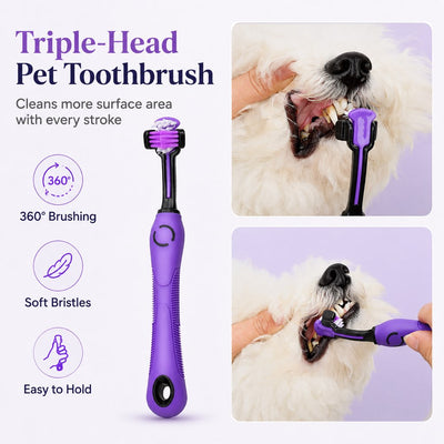 9-Piece Pet Grooming Kit for Dogs & Cats – At-Home Grooming Solution for Shedding, Nail Care & Detangling (Travel-Friendly Case)