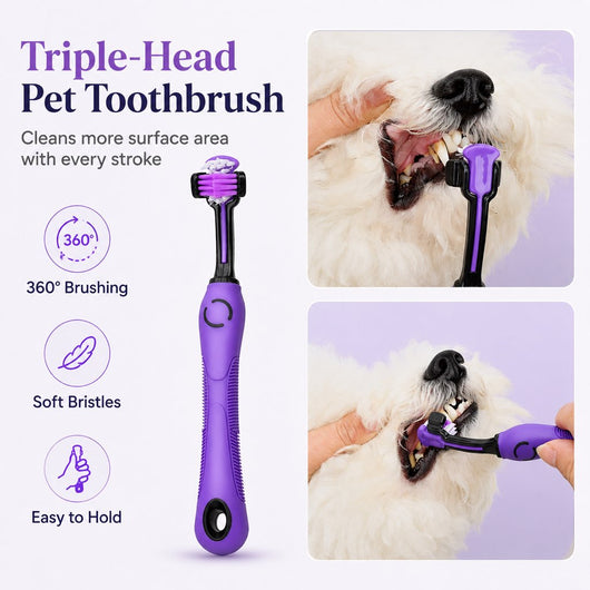 9-Piece Pet Grooming Kit for Dogs & Cats – At-Home Grooming Solution for Shedding, Nail Care & Detangling (Travel-Friendly Case)