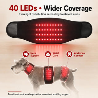 Komavic Pet Red Light Wellness Belt