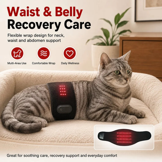 Komavic Pet Red Light Wellness Belt