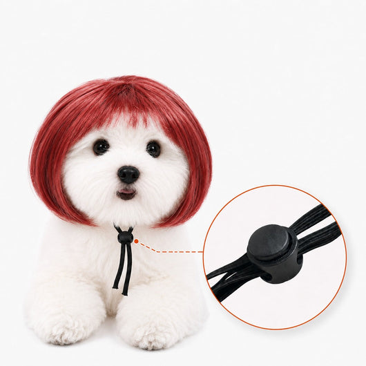 Komavic Pet Wig Funny Bob Costume for Photos
