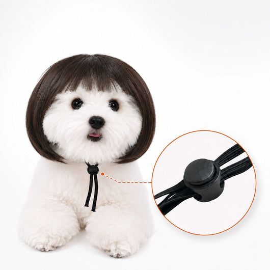 Komavic Pet Wig Funny Bob Costume for Photos