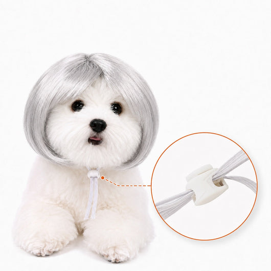 Komavic Pet Wig Funny Bob Costume for Photos