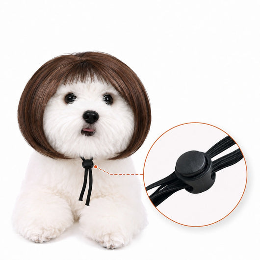 Komavic Pet Wig Funny Bob Costume for Photos