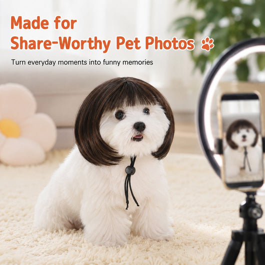 Komavic Pet Wig Funny Bob Costume for Photos