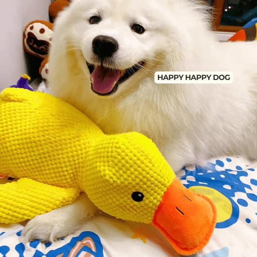 Komavic Quacking Duck Plush Dog Toy