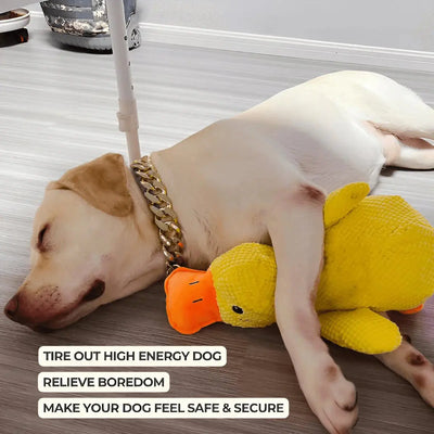 Komavic Quacking Duck Plush Dog Toy