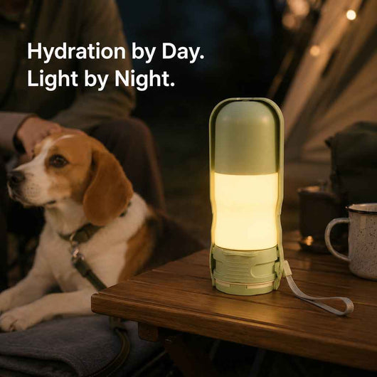 Paws in Awe 2-in-1 Portable Dog Water Bottle with LED Light - 12 fl oz Foldable Bowl for Walks, Hikes & Camping, No Extra Bowl Needed
