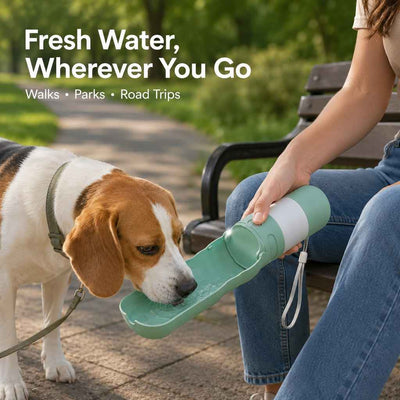 Paws in Awe 2-in-1 Portable Dog Water Bottle with LED Light - 12 fl oz Foldable Bowl for Walks, Hikes & Camping, No Extra Bowl Needed