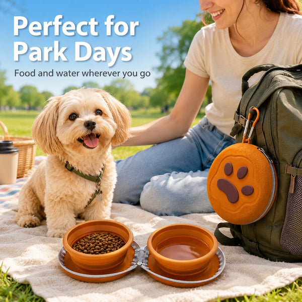 Collapsible Pet Travel Bowl with 2-in-1 Food & Water Design