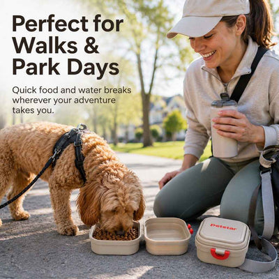 Komavic Portable 2-in-1 Folding Pet Bowl