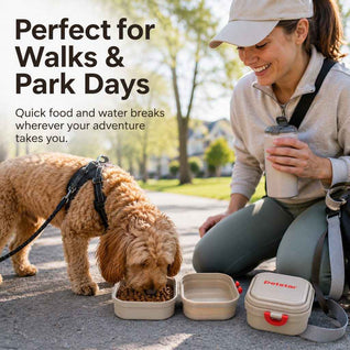 Komavic Portable 2-in-1 Folding Pet Bowl