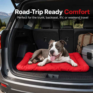 Komavic Portable Roll-Up Dog Bed for Travel