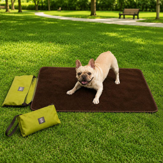 Komavic Portable Outdoor Pet Mat with Carry Bag