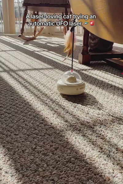 Video 4