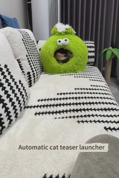 Video 3