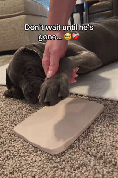 Video 4