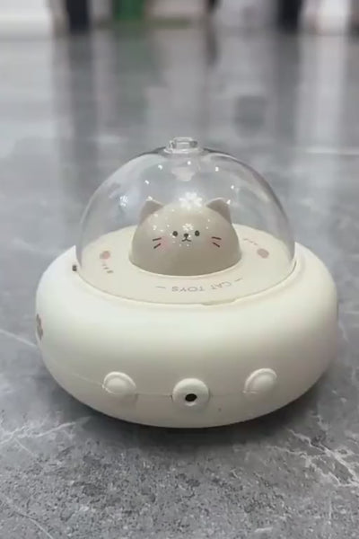 Video 2
