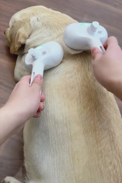 Video 3