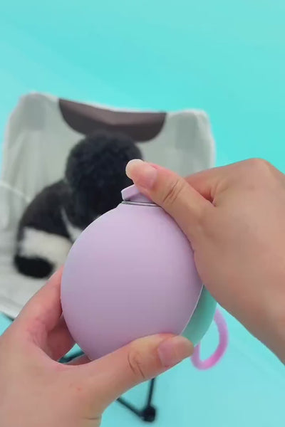Video 1
