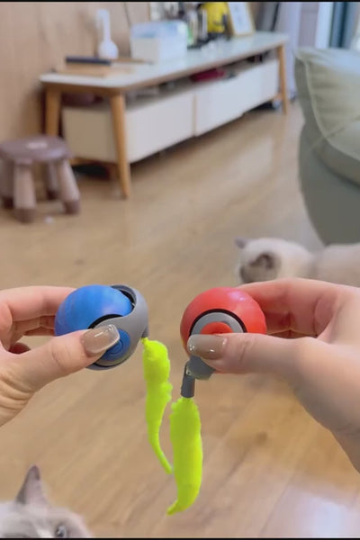 Video 3