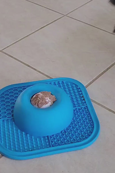 Video 1