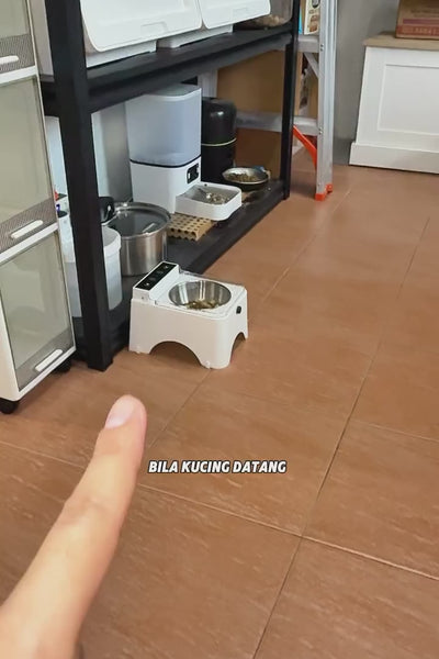 Video 1