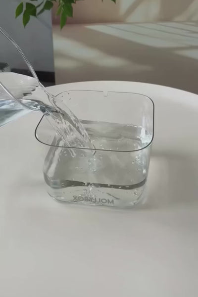 Video 1
