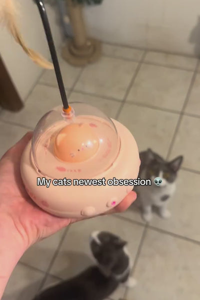 Video 1