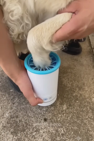 Video 3