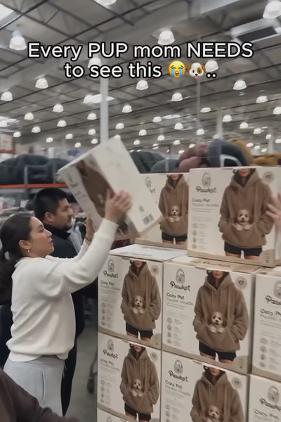 Video 2