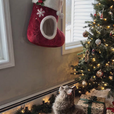 Komavic Christmas Stocking Cat Bed