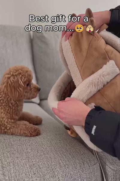 Video 2