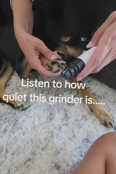 Video 3