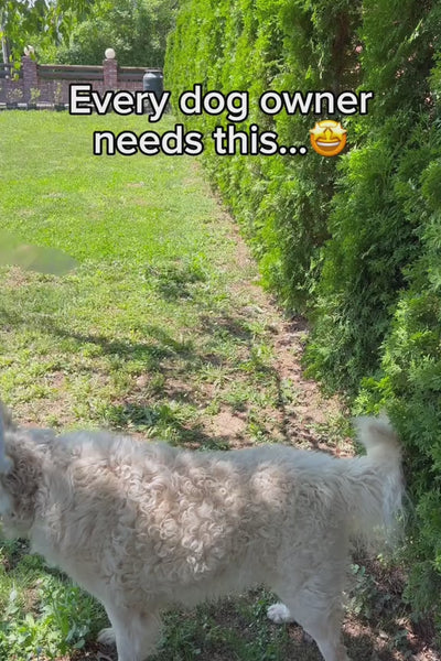 Video 2