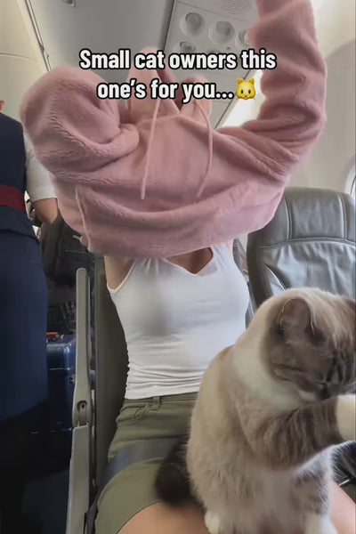 Video 2