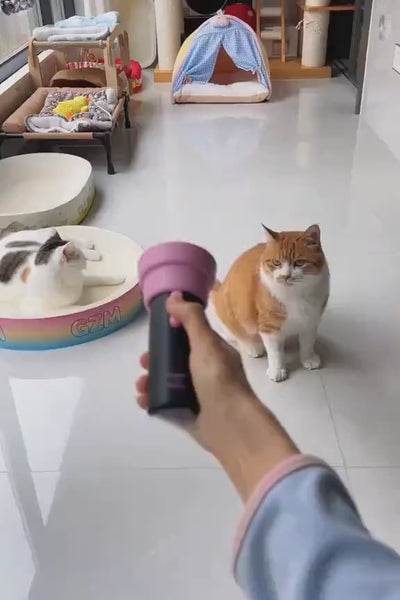 Video 1