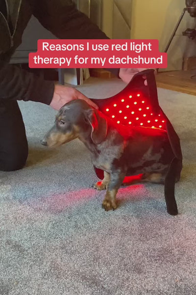Video 1