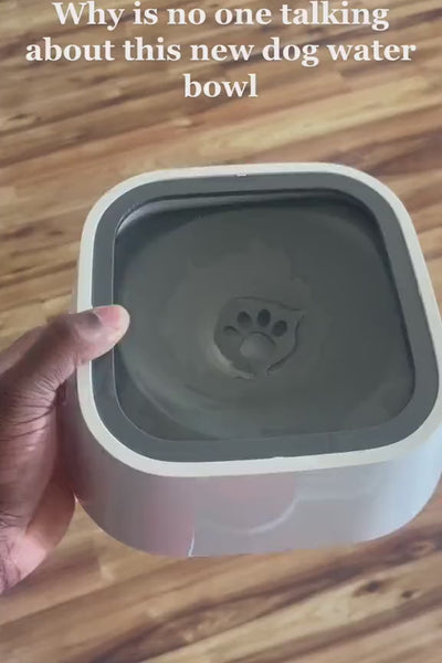 Video 3