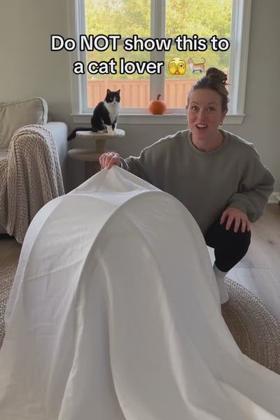 Video 2