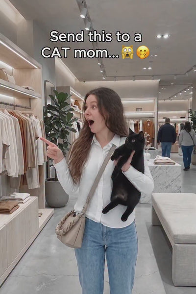 Video 2